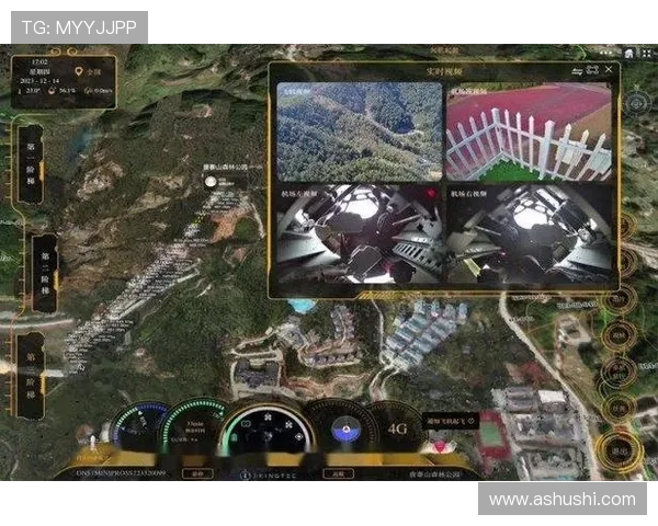 无人机在电力巡检中的三维点云数据