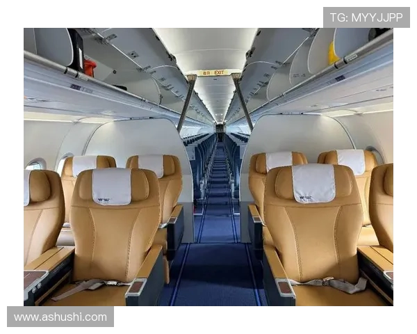 飞机客舱内饰的环保性材料